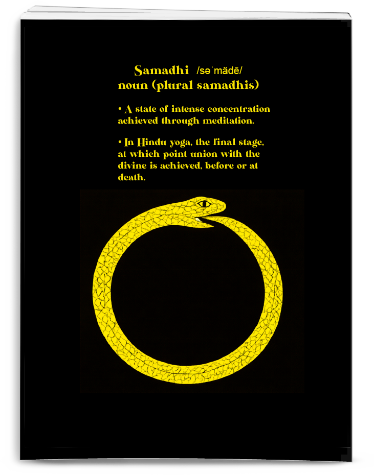 Suicide-or-Samadhi_book-back-cover Suicide or Samadhi book by Zachary Feder